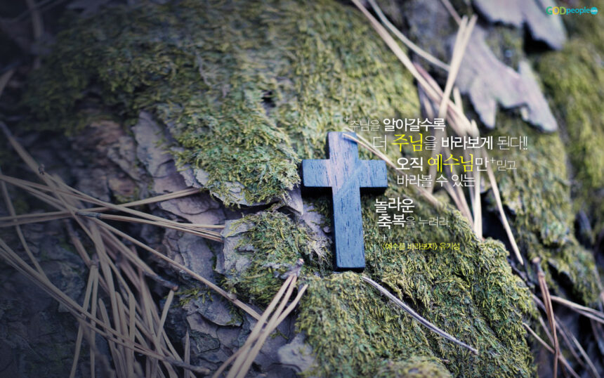 [말씀묵상] 믿음 만이 살길이다.